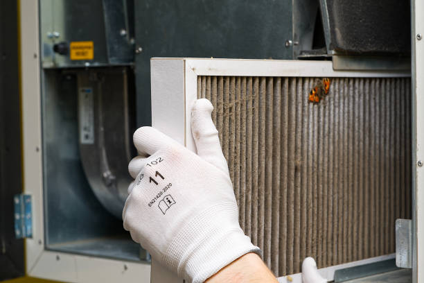 Best Affordable Air Duct Cleaning  in Mancelona, MI